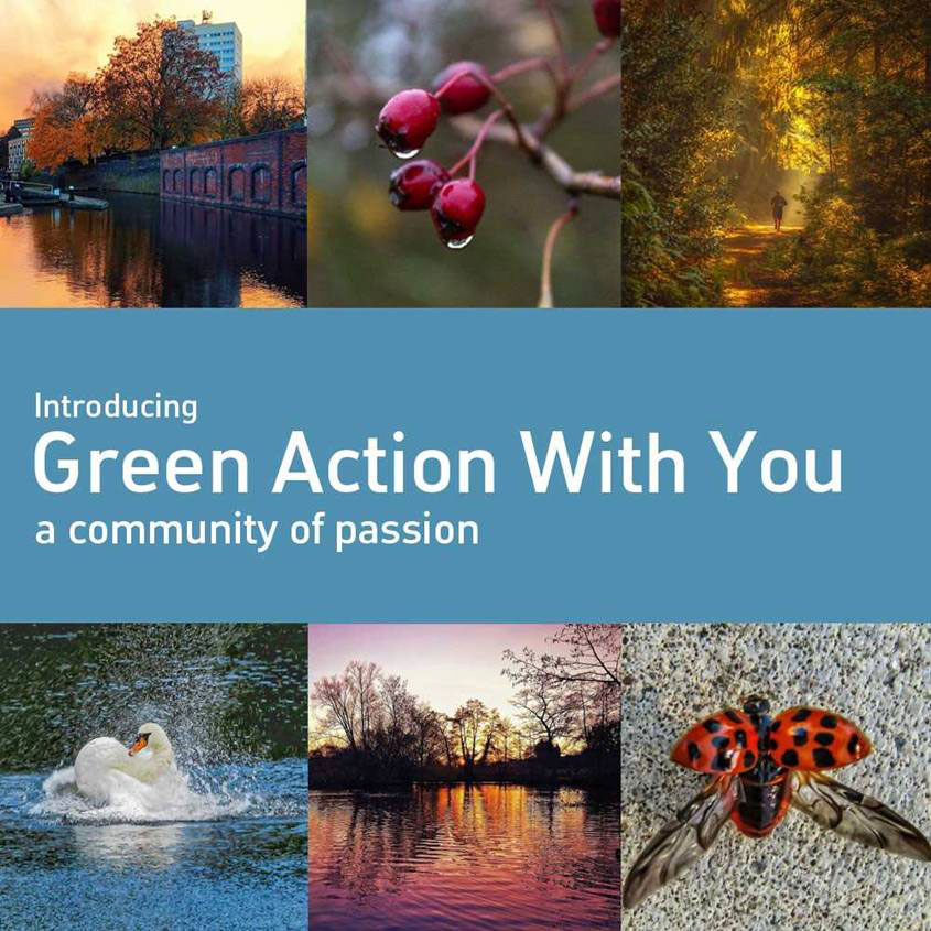 Green Action With You 
